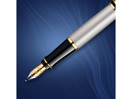 WATERMAN Stylo plume Expert, Metallic G.T.