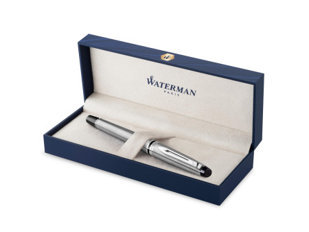 WATERMAN Stylo plume Expert, Metallic C.T.
