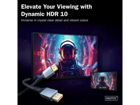 DIGITUS Câble Displayport 16K 2.1, 1,0 m, noir