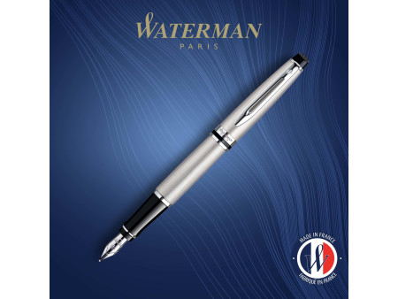 WATERMAN Stylo plume Expert, Metallic C.T.