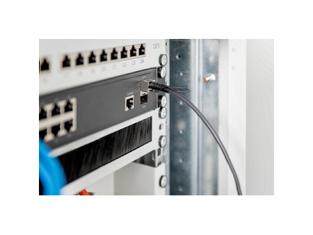 DIGITUS Câble DAC SFP+ 10G, AWG 24, 7 m