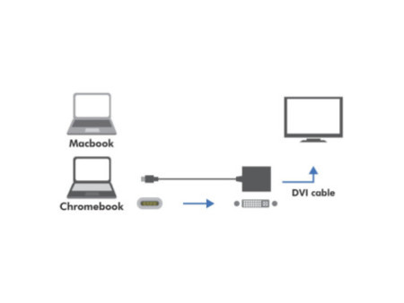 LogiLink Câble adaptateur USB-C - DVI, blanc