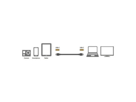 LogiLink Câble USB 2.0, USB-C - USB-C mâle, 0,3 m, noir