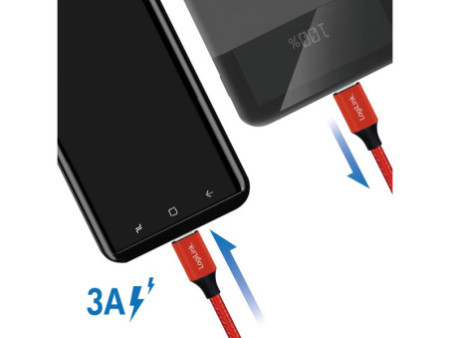 LogiLink Câble USB 2.0, USB-C - USB-C mâle, 0,3 m, rouge