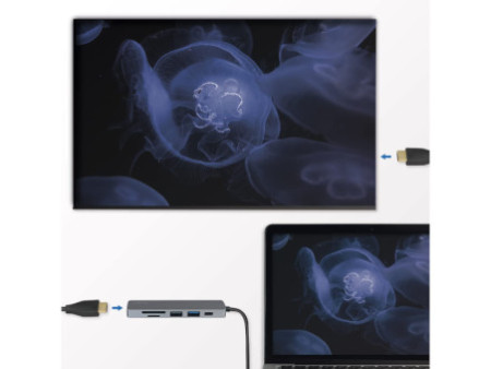 LogiLink Hub multifonction USB-C 6-en-1, argenté