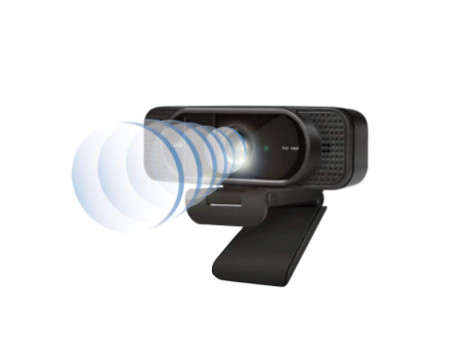 LogiLink Webcam USB Full HD avec micro double, noir