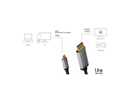 LogiLink Câble USB, fiche mâle USB-C-mâle DP, 1,8 m