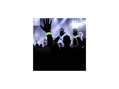LogiLink Bande réfléchissante LED, set de 2, bleu & vert