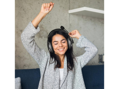 LogiLink Casque audio stéréo avec commande , 1x USB-A, noir
