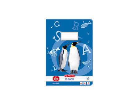 herlitz Cahier x.book, A4, linéature 8f / rectangles
