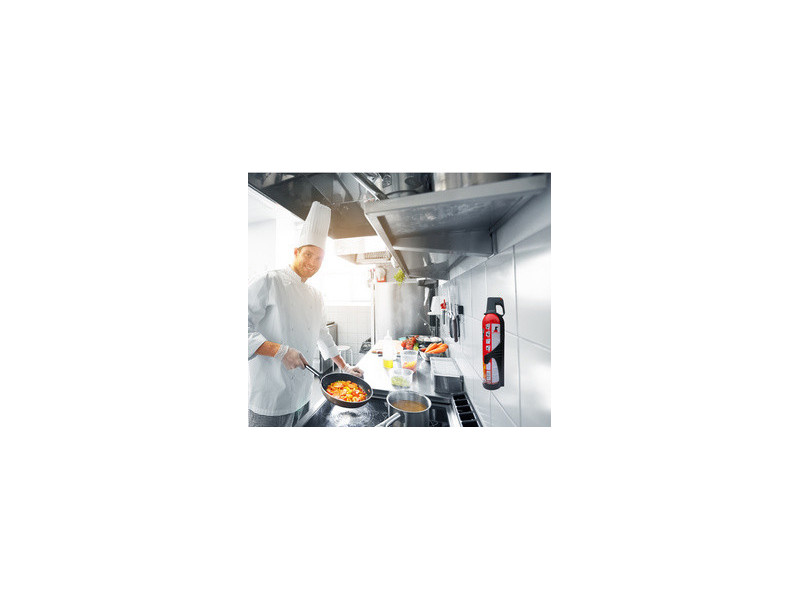 REINOLD MAX Spray extincteur 'STOP FIRE', 750 ml