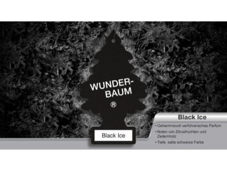 WUNDER-BAUM Désodorisant, parfum: Black Ice