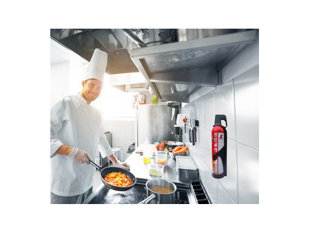 REINOLD MAX Spray extincteur 'STOP FIRE', 3 x 750 ml