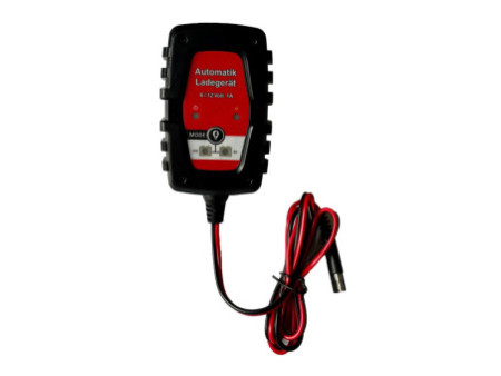 IWH Chargeur de batterie de voiture & de moto, 1 A, 6/12 V