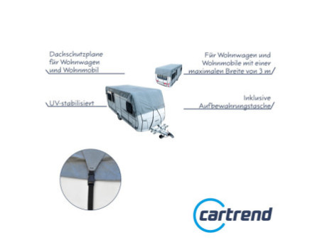 cartrend Bâche protection de toit, (l)3,0 x (L)8,0 m