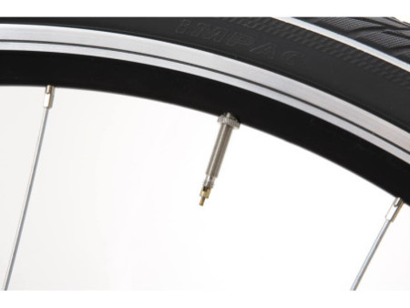 FISCHER Mini pompe à air pour vélo, commutable, noir