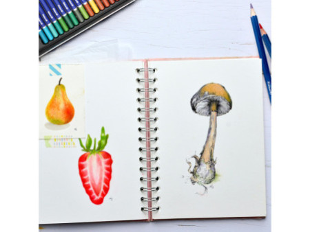Pelikan Crayon de couleur Premium, étui métal de 24