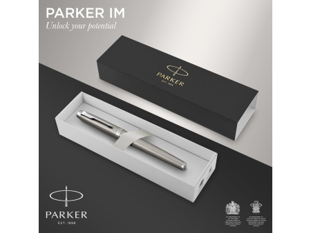 PARKER Stylo plume IM Essentiel, Acier C.T.