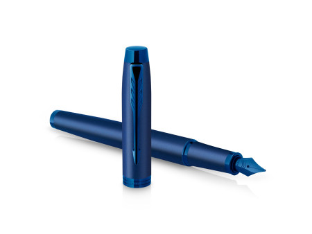 PARKER Stylo plume IM Monochrome, Bleu
