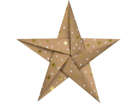HEYDA Set de feuilles de papier à plier 'Etoiles or'