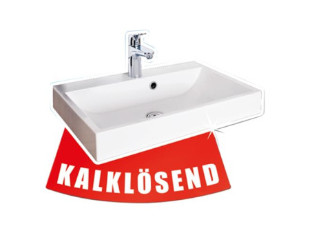 Spontex Éponge à récurer Badputzer, pack de 2