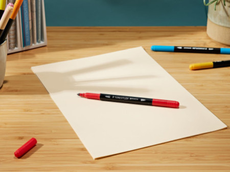 STAEDTLER Feutre double pointe permanent, étui de 36