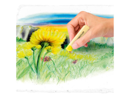STAEDTLER Pastel tendre Design Journey, étui en carton de 36