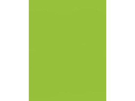 folia Carton de bricolage, (L)500 x (H)700 mm, vert mai