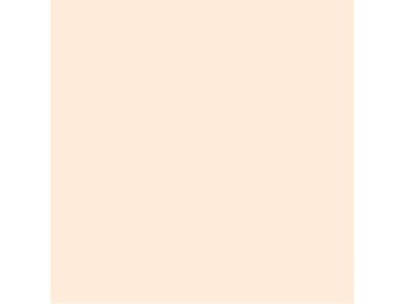 folia Papier de couleur, (L)500 x (H)700 mm, beige clair