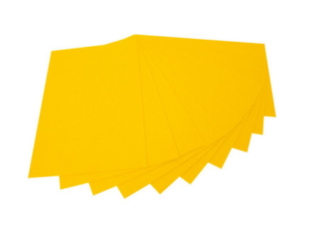folia Feutrine de bricolage, (L)200 x (H)300 mm,jaune banane