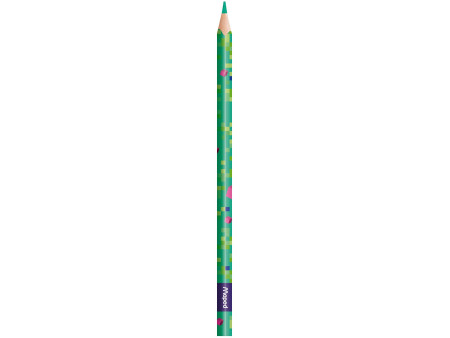 Maped Crayon de couleur PIXEL PARTY, étui carton de 12