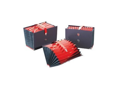 extendos Trieur, 31 compartiments, numérique 1 - 31, noir