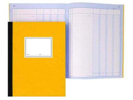 ELVE Piqûre comptable, 310 x 210 mm, 4 colonnes par page