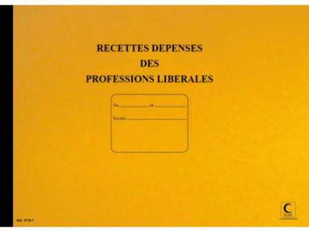 ELVE Piqûre 'Recettes/Dépenses' Professions libérales
