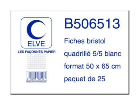 ELVE Fiches bristol quadrillées 5/5, 500 x 650 mm, 25 fiches