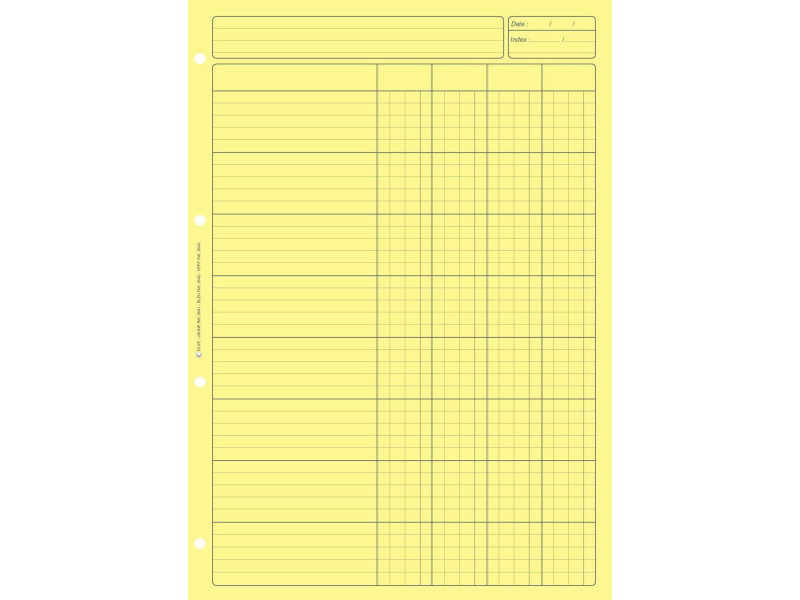 ELVE Bloc audit 'Contrôle interne', 80 pages, jaune clair