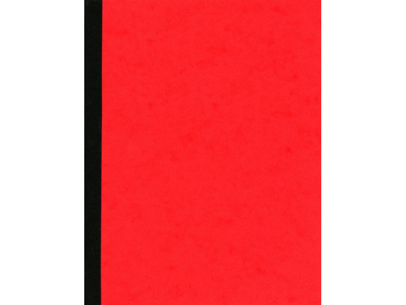 ELVE Piqûre comptable, 310 x 210 mm, 5 colonnes par page