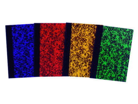 ELVE Registre Corrigé Annonay, quadrillé 5x5, 297 x 210 mm