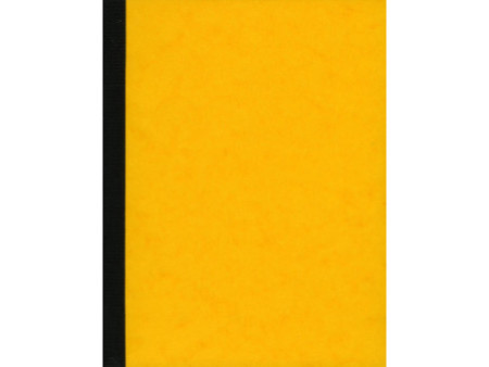 ELVE Piqûre comptable à colonnes, 320 x 240 mm, 100 pages