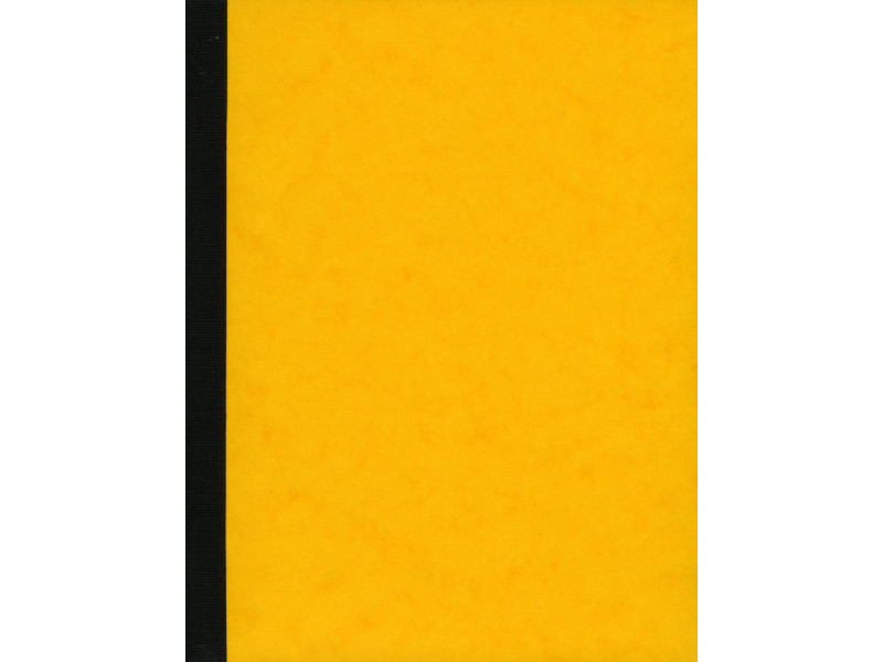 ELVE Piqûre comptable à colonnes, 320 x 240 mm, 100 pages