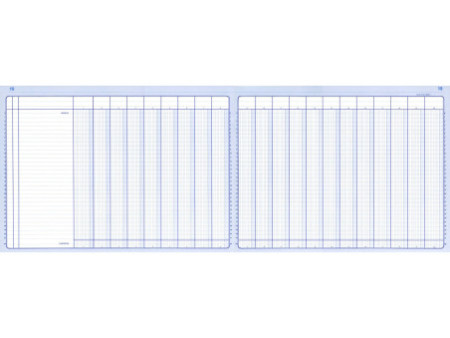 ELVE Piqûre comptable à colonnes, 240 x 320 mm, 80 pages