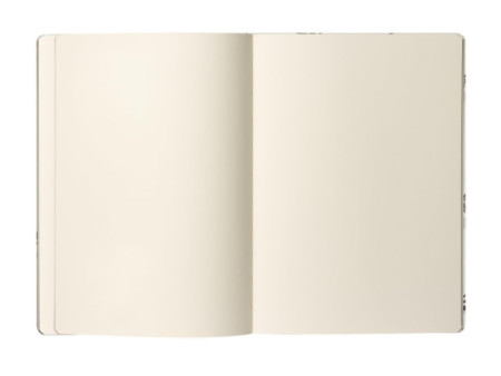 CARAN D'ACHE Carnet de croquis RYLSEE, A5, uni