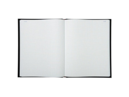 EXACOMPTA Registre Quadrillé 5x5, 320 x 250 mm vertical