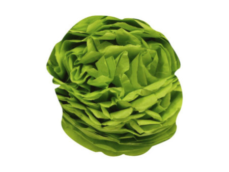 Clairefontaine Papier de soie, (l)500 x (H)750 mm,vert pomme