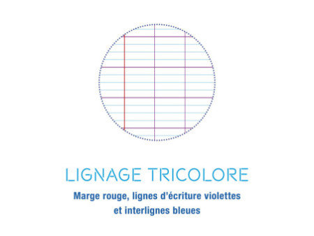 Clairefontaine Cahier piqûre, 240 x 320 mm, 144 pages, séyès