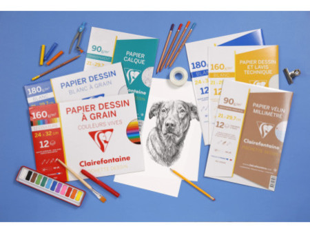 Clairefontaine Papier dessin 'à Grain', couleurs vives