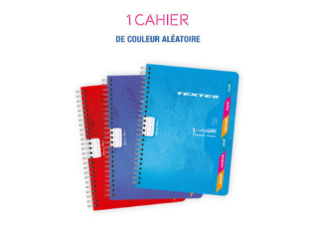 Calligraphe 7000 Cahier de textes, 170 x 220 mm, séyès