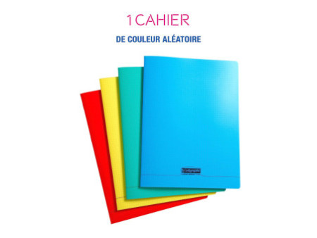 Calligraphe Cahier 8000 POLYPRO, 240 x 320 mm, assorti