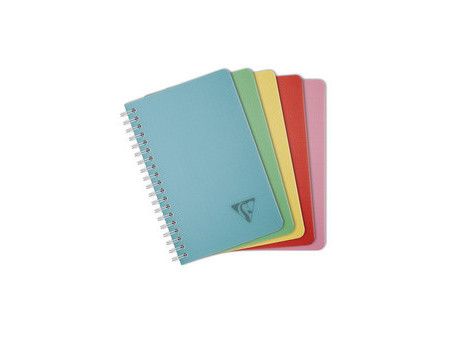 Clairefontaine Carnet reliure intégrale LINICOLOR, 110x170mm