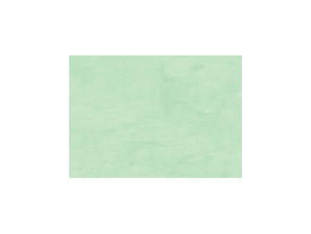 Clairefontaine Papier cadeau 'kraft', gris